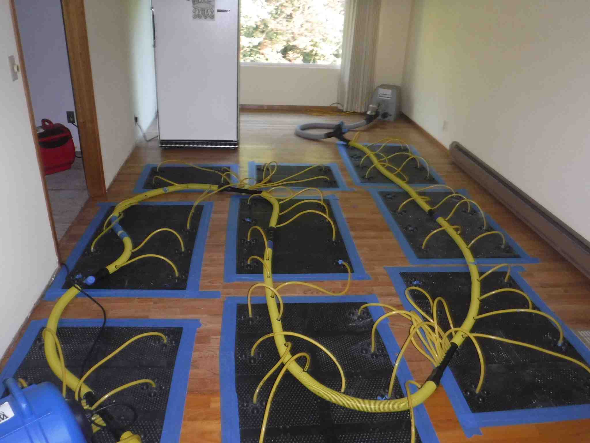 Drying Hardwood Floors