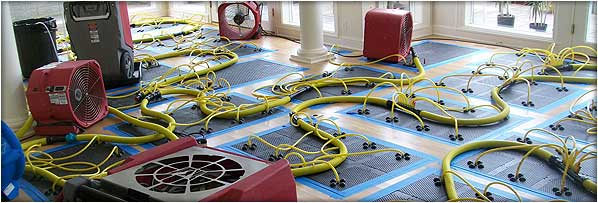 Water Damage Repair Everett, WA