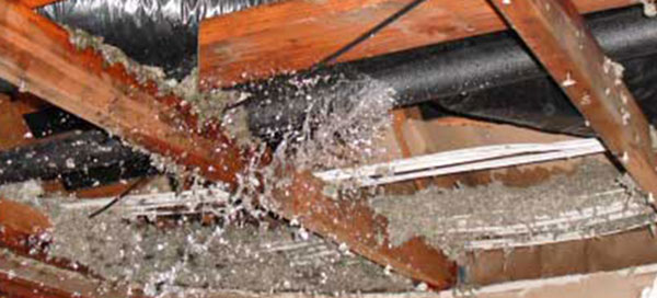 Water Damage Restoration Services in Seattle