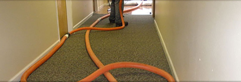 Commercial Carpet Cleaning