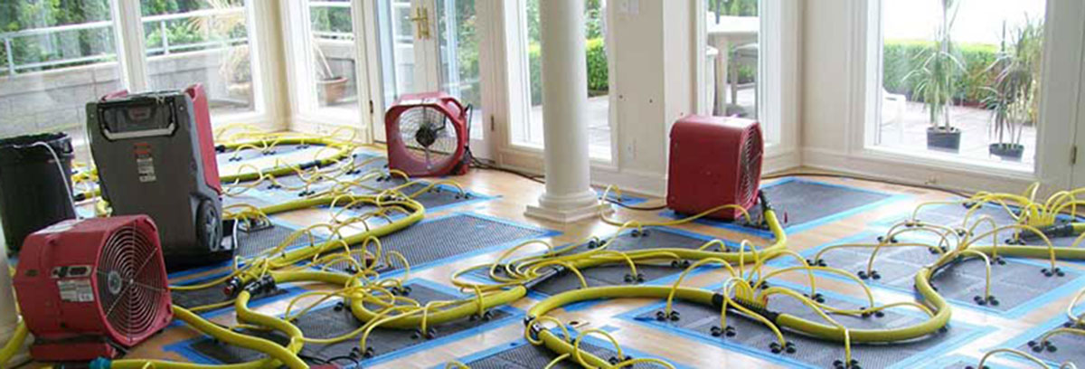 Drying Hardwood Floors