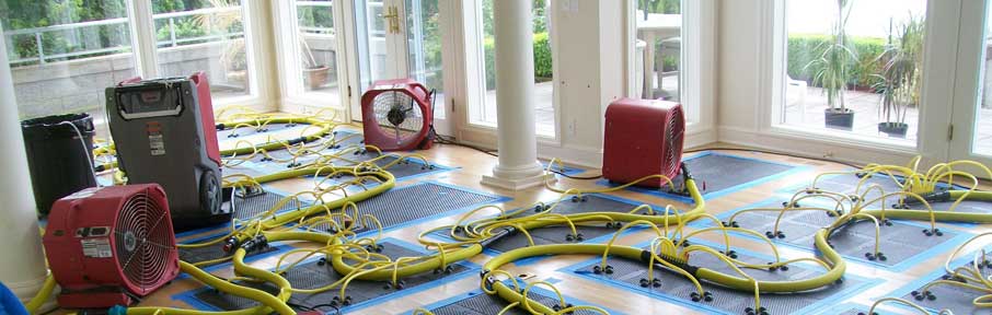 Hardwood Floor Drying Seattle
